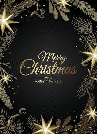 圣诞节圣诞树圣诞老人闪亮装饰电商促销折扣海报