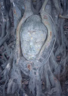 特色建筑 26 特色建筑 26