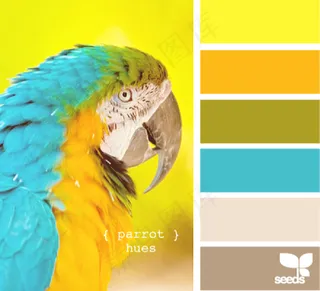 动物配色色卡色彩搭配