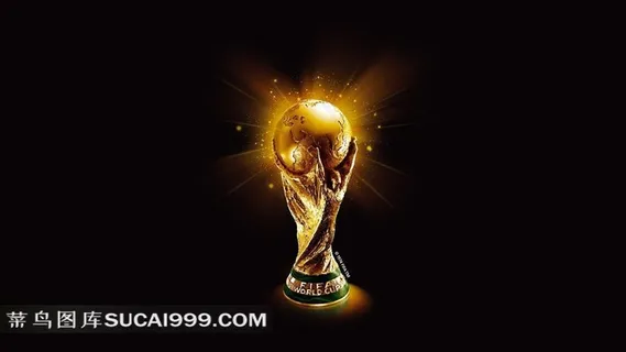 国际足联世界杯