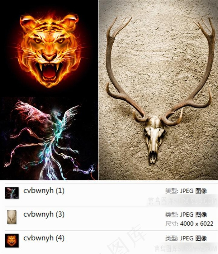 老虎火凤凰鹿头素材