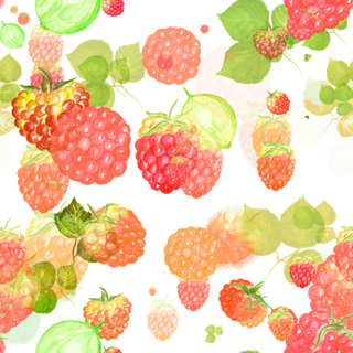 山莓-叶子-水彩-背景-设计-