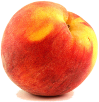 43_peach_PNG4893