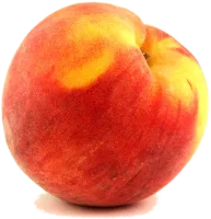 43_peach_PNG4893