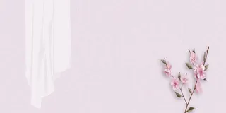 中国风传统水墨古风古典展板边框工笔画PS海报背景平面设计素材