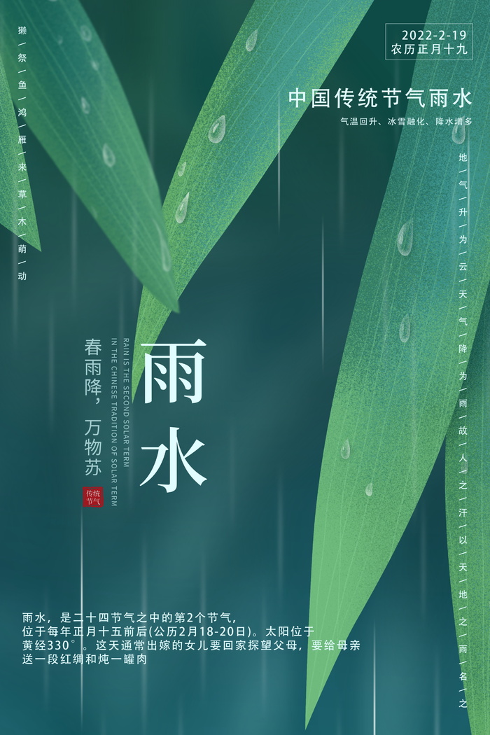 清新简约手绘风雨水节气宣传海报