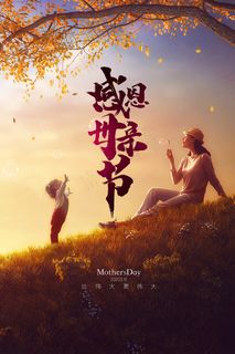 感怀母爱唯美感恩母亲节海报