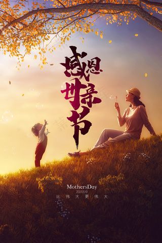 感怀母爱唯美感恩母亲节海报