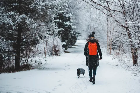 一个人在雪中背影图片 一个人在雪中背影图片