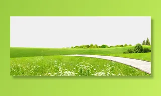 草地|装饰|背景|绿色