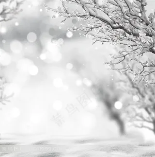 梦幻光斑圣诞背景