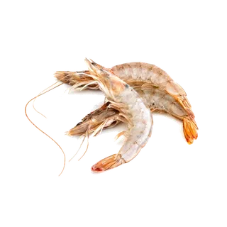 虾类(38)海鲜超市商品红酒白底图免抠实物摄影png格式图片透明底