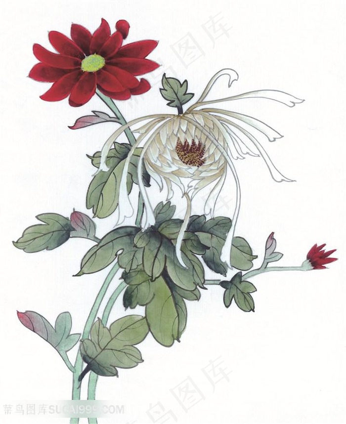 唯美蝴蝶莲花中式装饰画