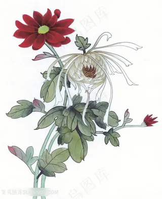 唯美蝴蝶莲花中式装饰画