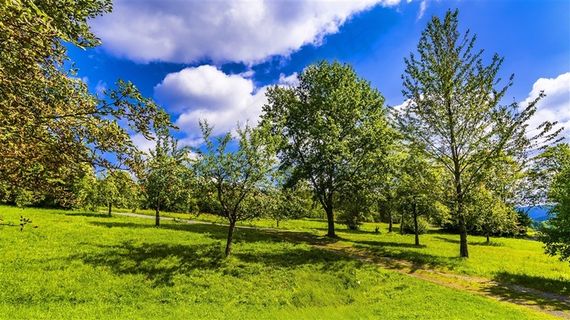 蓝天白云草地图片