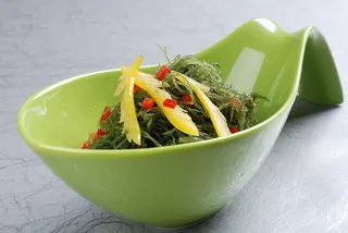 LCSC1814南极冰藻