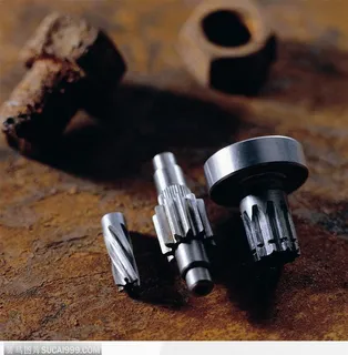 齿轮 螺丝 螺帽