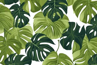 卡通插画龟背竹绿植背景