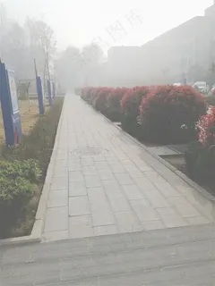 雾色朦胧春日清晨