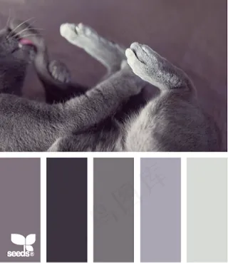 动物配色色卡色彩搭配