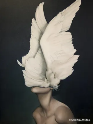 白色翅膀美女艺术插画