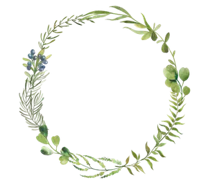 植物绿叶花环清新手绘卡通插画免抠