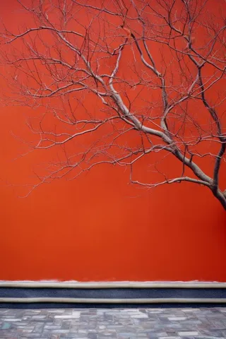 中国风红墙古风枝叶背景