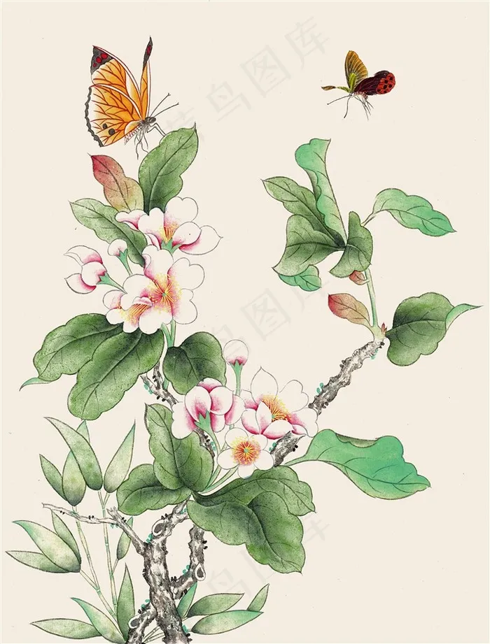 国画蝶恋花图片