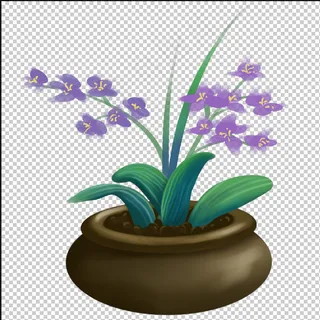 兰花君子兰盆栽免扣元素