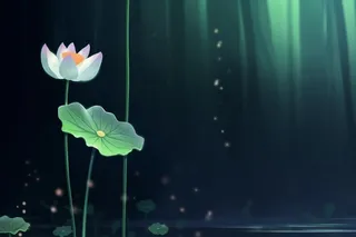 国风夜晚荷花荷叶大气背景