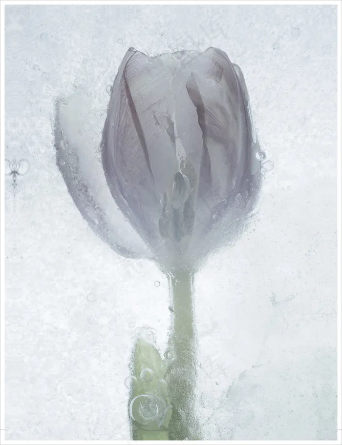 装饰画|客厅|海报画|电表箱装饰画|挂画