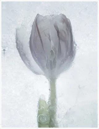 装饰画|客厅|海报画|电表箱装饰画|挂画