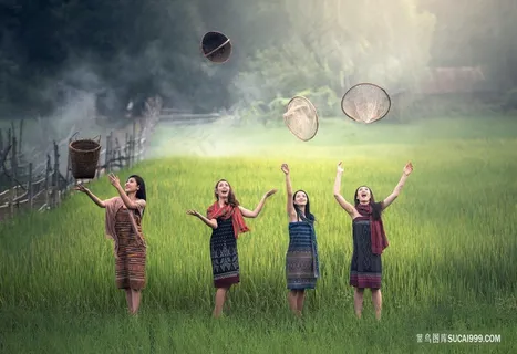 泰国美女和稻田南方田园生活