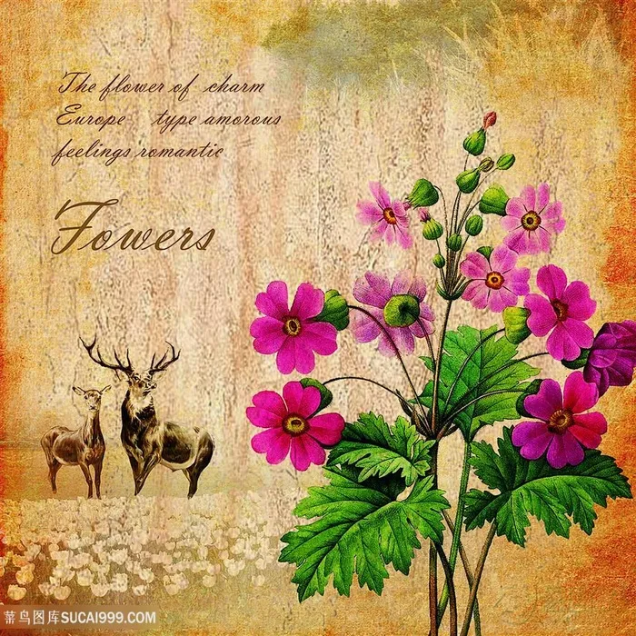 欧式花朵装饰画