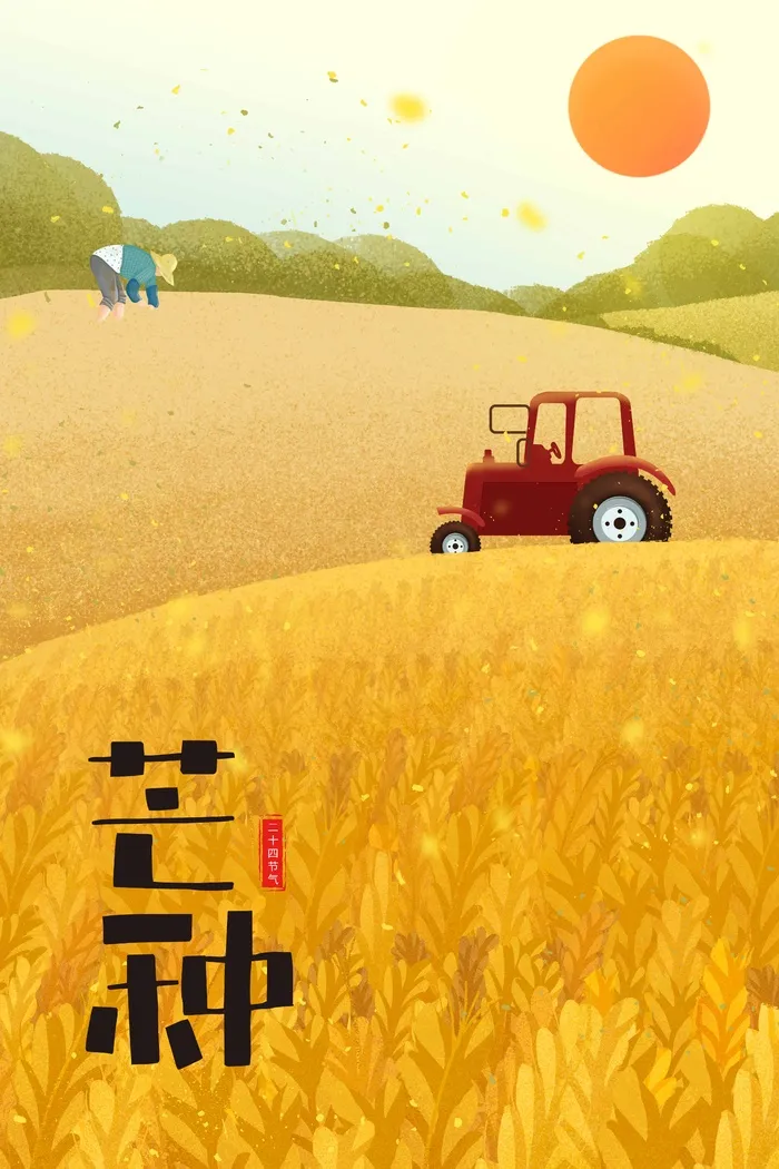 芒种 芒种营销设计psd模版下载