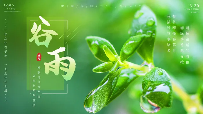 谷雨二十四节气海报设计psd模版下载