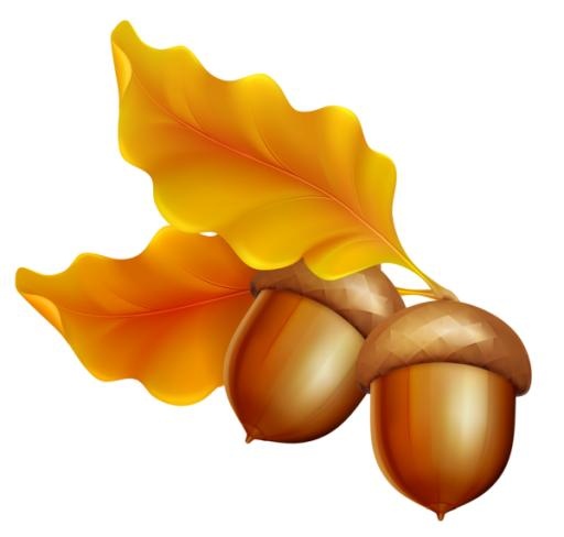 橡子 PNG 图像免抠(600x572)