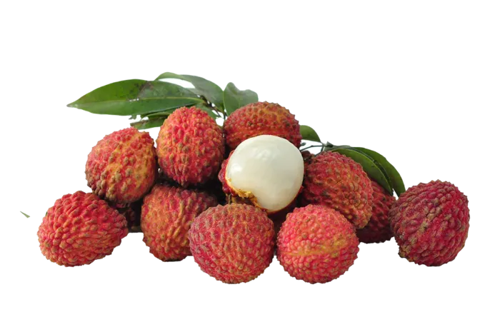 荔枝 (27)水果超市商品白底图免抠实物摄影png格式图片透明底