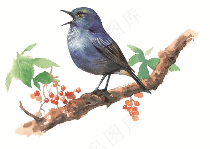 树枝上的鸟儿插画素材
