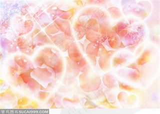 粉色玫瑰花瓣与桃心