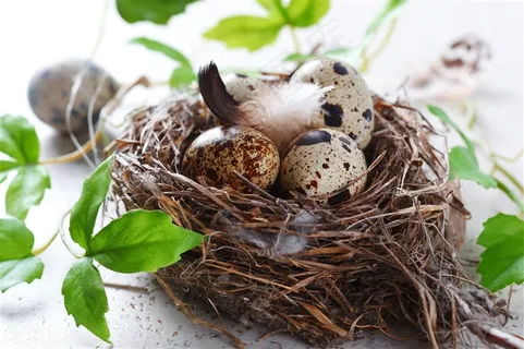 复活节海报广告图片 复活节海报广告图片