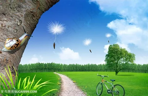 韩式自然背景 大树草地自行车风景画