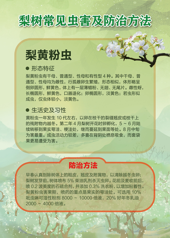 梨树常见虫害及防治方法海报 