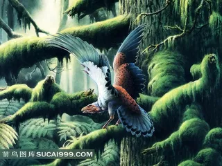 手绘精美雄鹰艺术壁纸