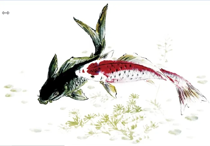 手绘双鱼背景墙psd模版下载