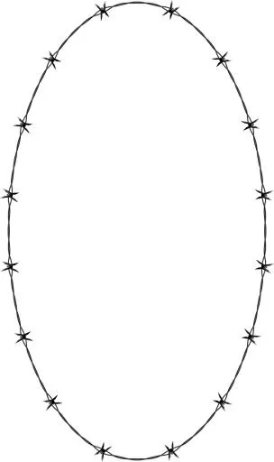 铁丝网 PNG免抠(1332x2242)