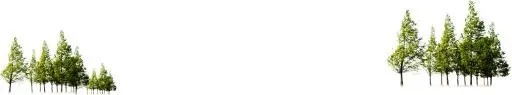 森林 PNG免抠(3538x660)
