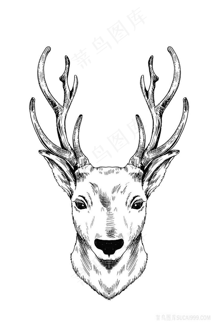 黑白手绘简约鹿头插画