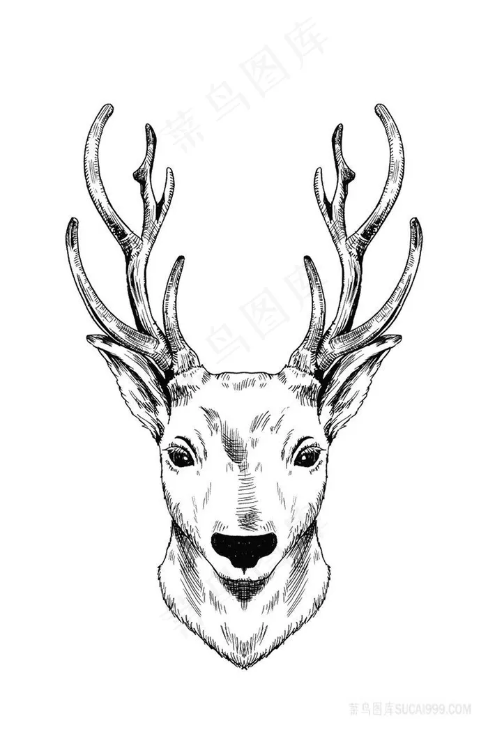 黑白手绘简约鹿头插画