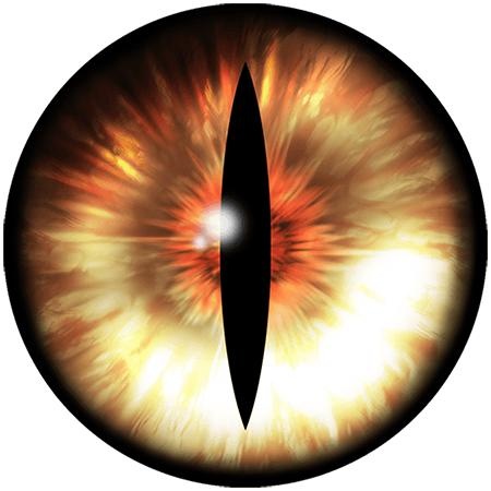 眼睛 PNG免抠(450x450)